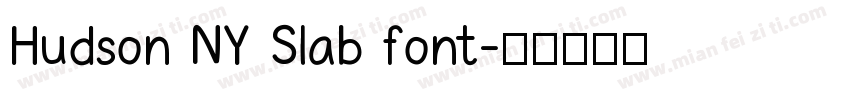 Hudson NY Slab font字体转换